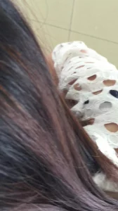 芭乐APP免费无限在线下载IOS